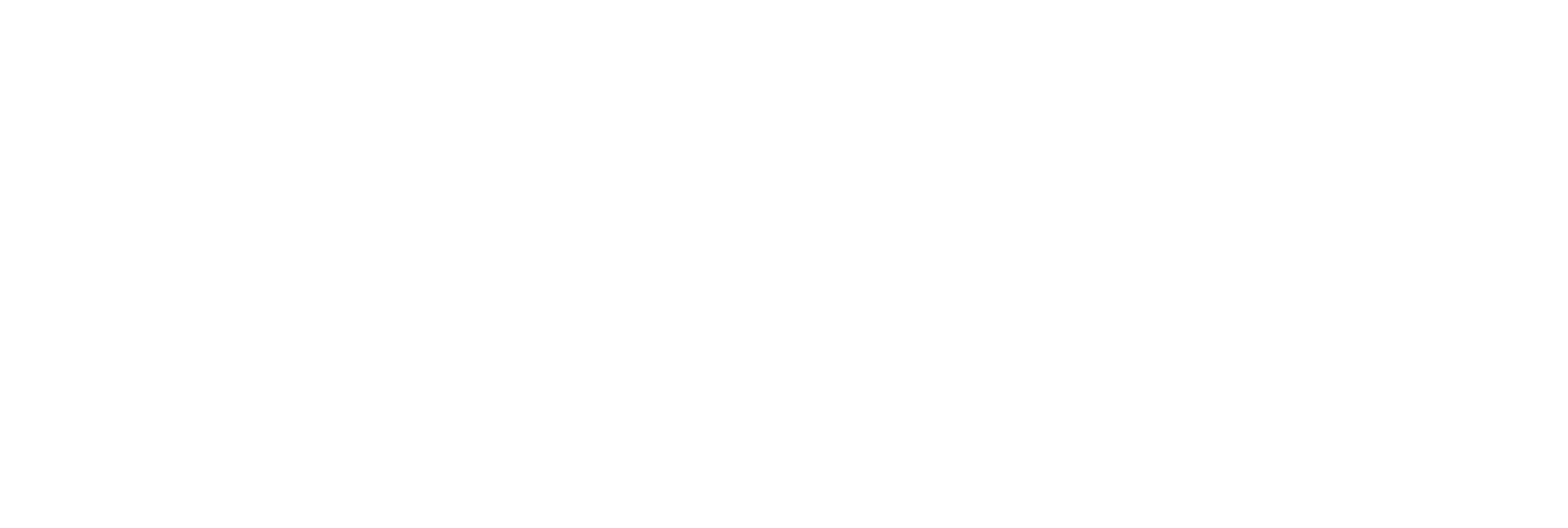 wantex logo inverted